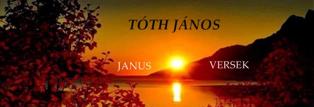 JANUSVERS Tóth János versei